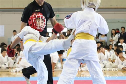 THE FIGHT SLIDE SHOW