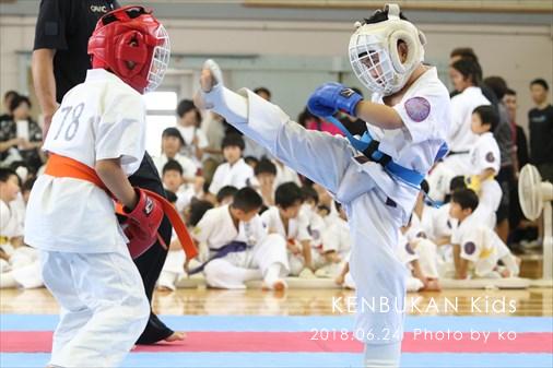 THE FIGHT SLIDE SHOW