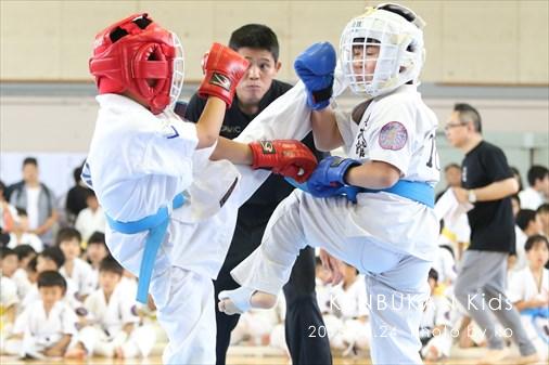 THE FIGHT SLIDE SHOW