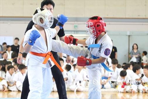 THE FIGHT SLIDE SHOW