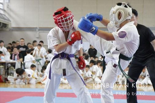 THE FIGHT SLIDE SHOW