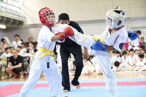 THE FIGHT SLIDE SHOW