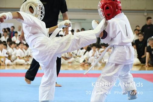 THE FIGHT SLIDE SHOW