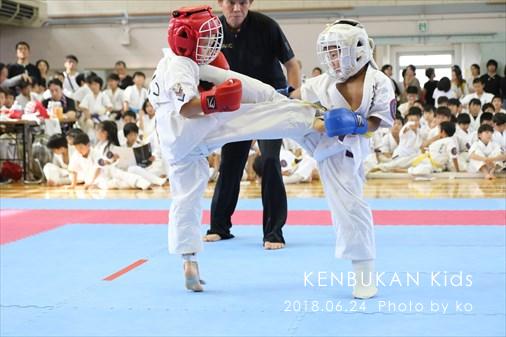 THE FIGHT SLIDE SHOW