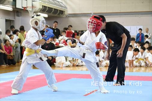 THE FIGHT SLIDE SHOW