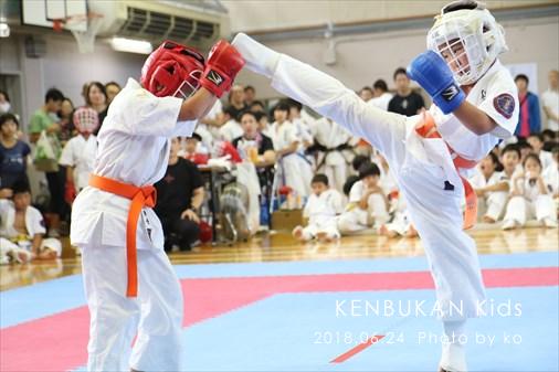 THE FIGHT SLIDE SHOW