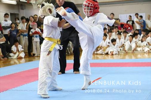 THE FIGHT SLIDE SHOW