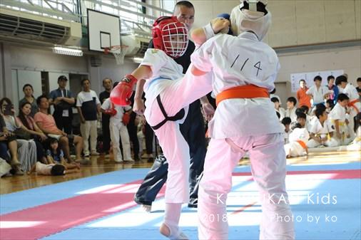 THE FIGHT SLIDE SHOW