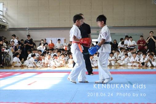 THE FIGHT SLIDE SHOW