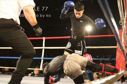 THE FIGHT SLIDE SHOW